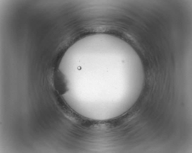 X0000063530307200602102024