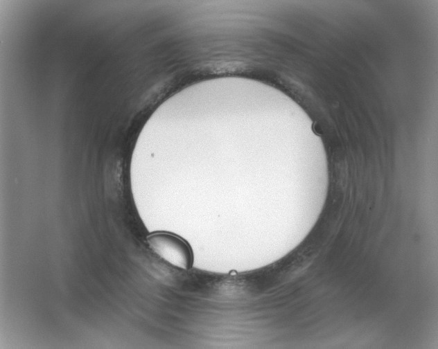 X0000063530308200602102024