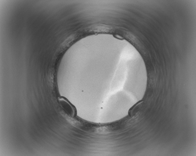 X0000063530309200602102024