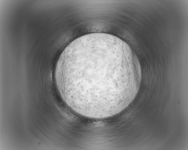 X0000063530310200602102024