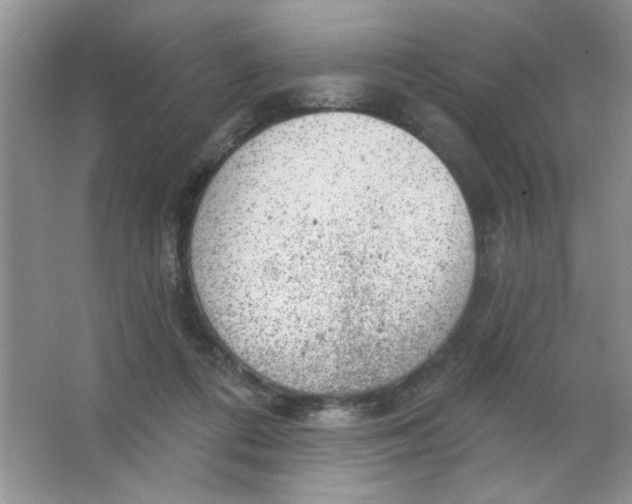 X0000063530312200602102024