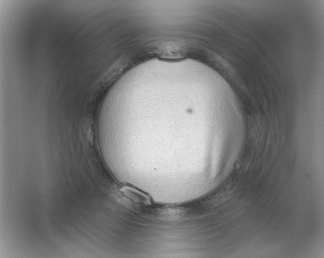 X0000063530313200602102024