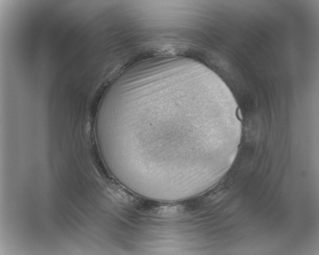 X0000063530314200602102024