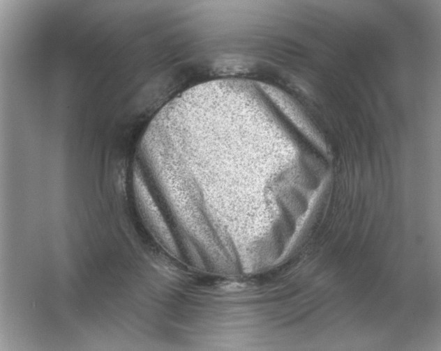 X0000063530315200602102024