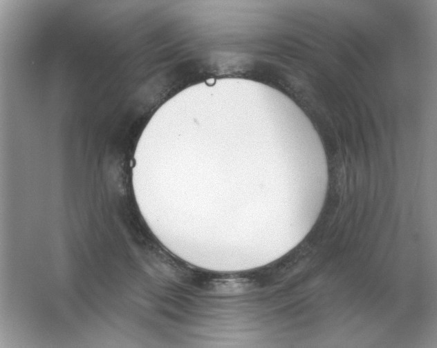 X0000063530316200602102024