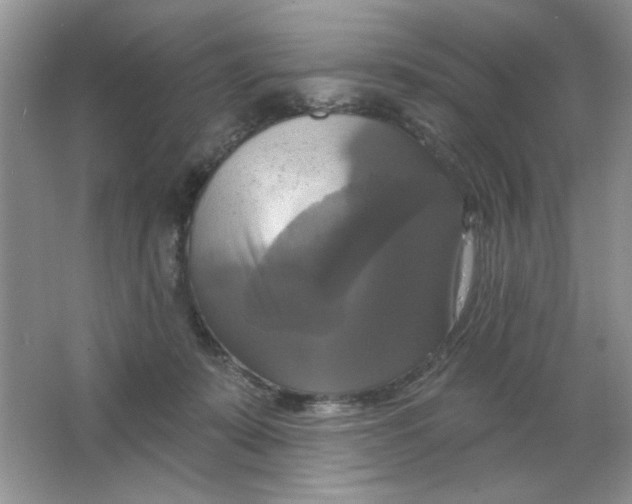 X0000063530319200602102024