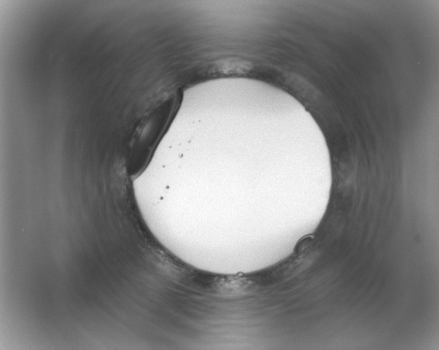 X0000063530321200602102024