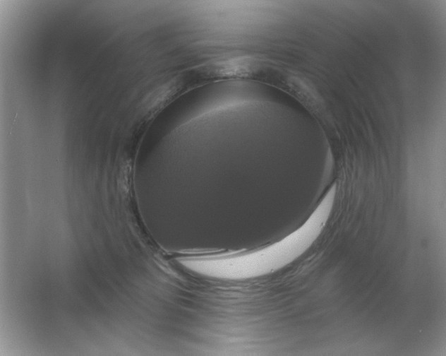 X0000063530325200602102024