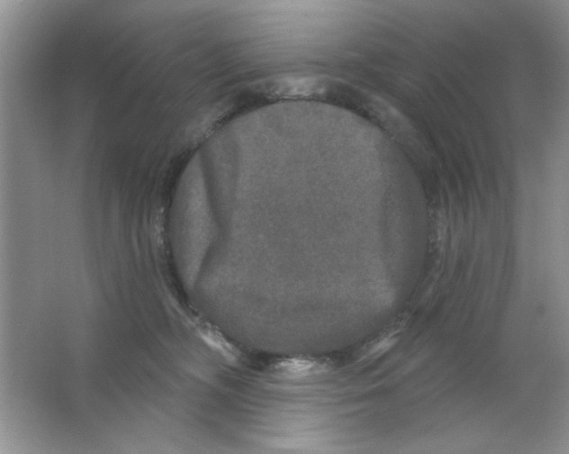 X0000063530326200602102024