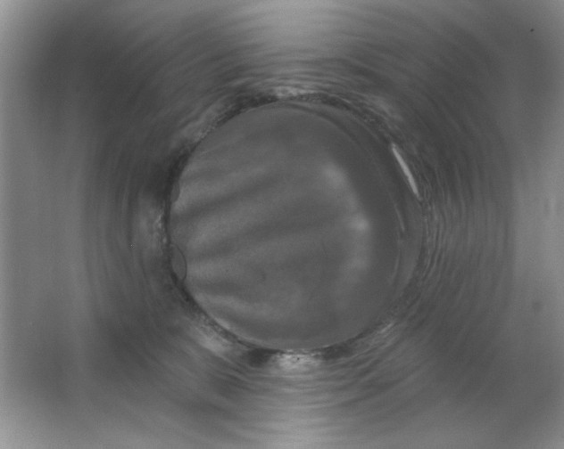 X0000063530327200602102024