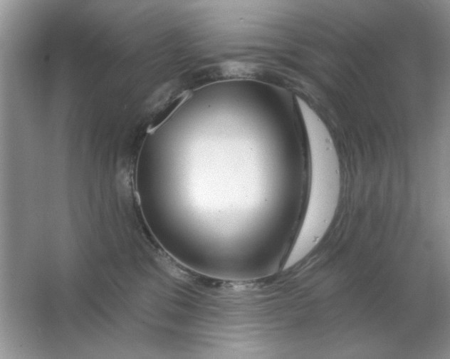 X0000063530329200602102024