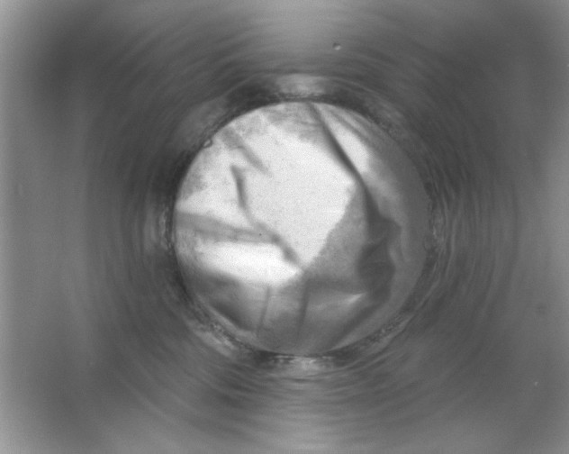 X0000063530330200602102024