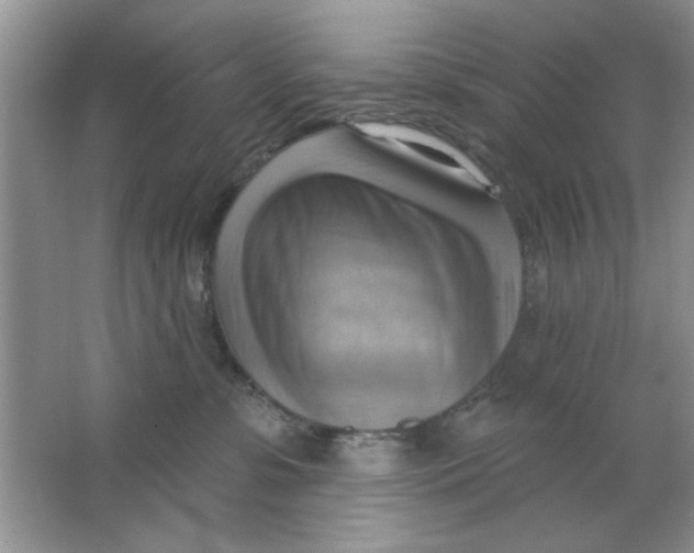 X0000063530331200602102024