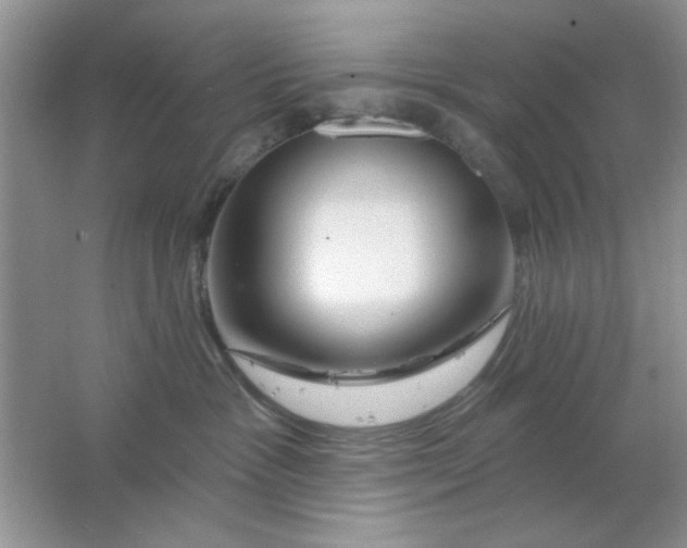 X0000063530333200602102024