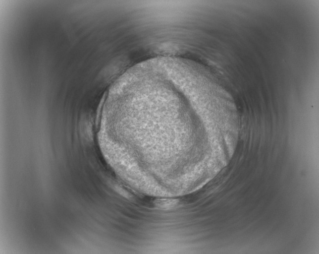 X0000063530334200602102024