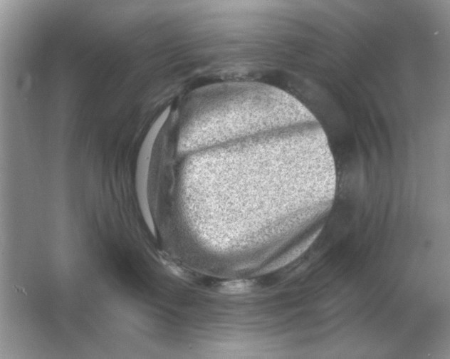 X0000063530335200602102024