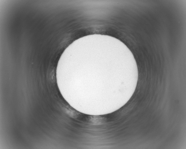 X0000063530336200602102024