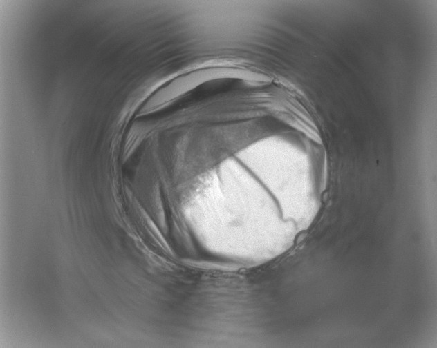 X0000063530337200602102023