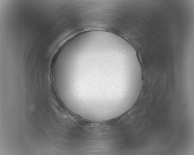 X0000063530338200602102023