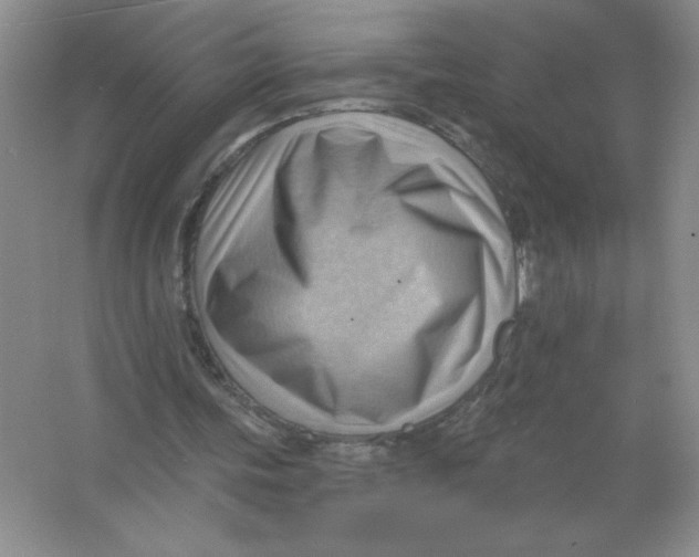 X0000063530339200602102023