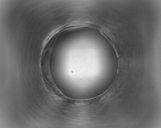 X0000063530340200602102023