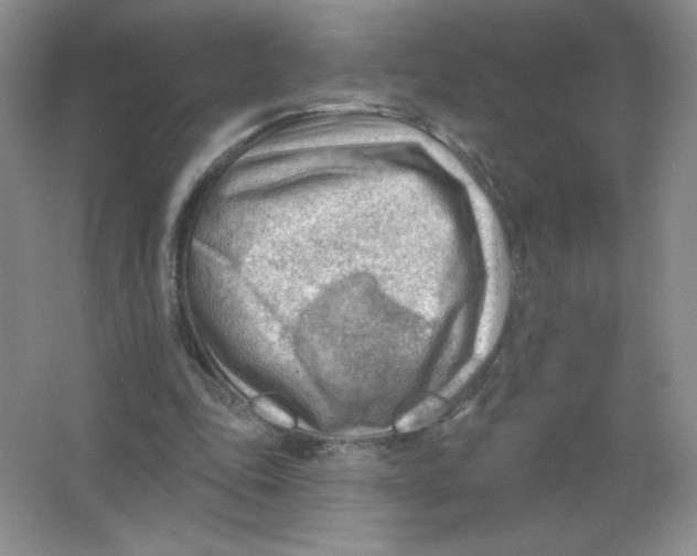 X0000063530343200602102023