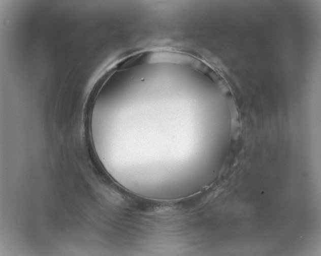 X0000063530344200602102023