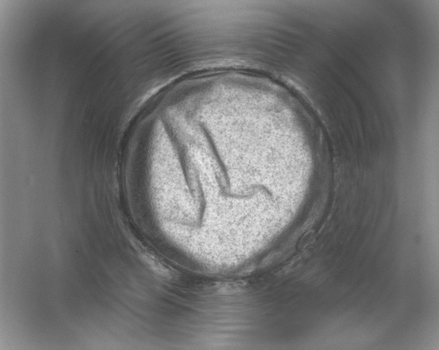 X0000063530345200602102023