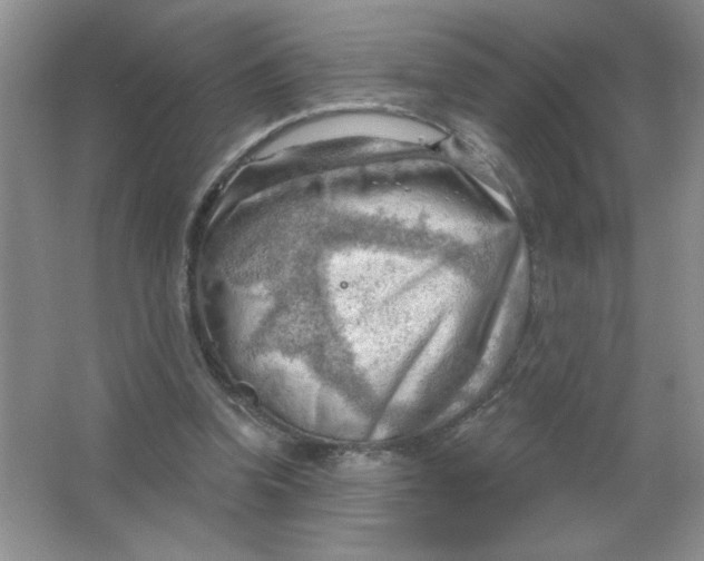 X0000063530346200602102023