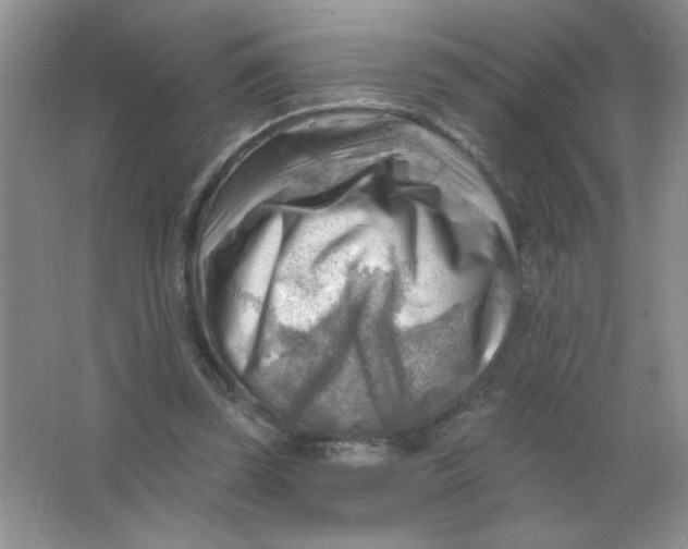 X0000063530347200602102023