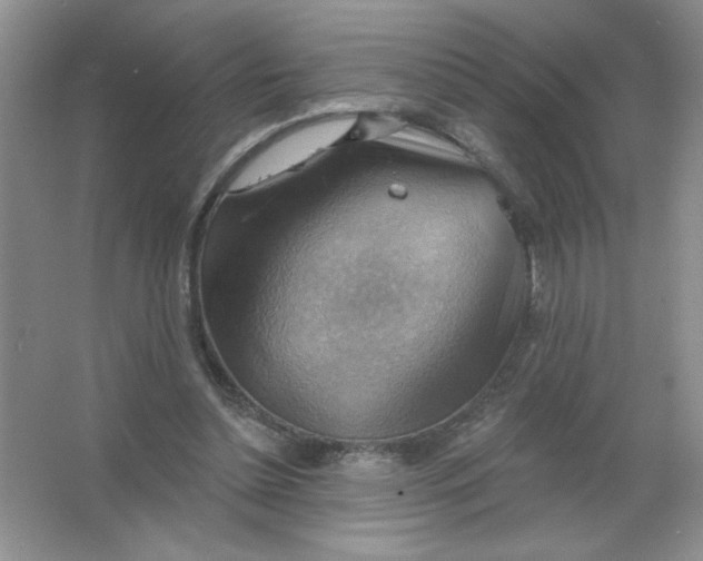 X0000063530348200602102023