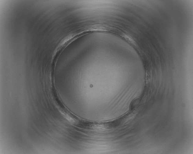 X0000063530349200602102023