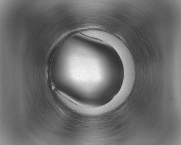 X0000063530350200602102023