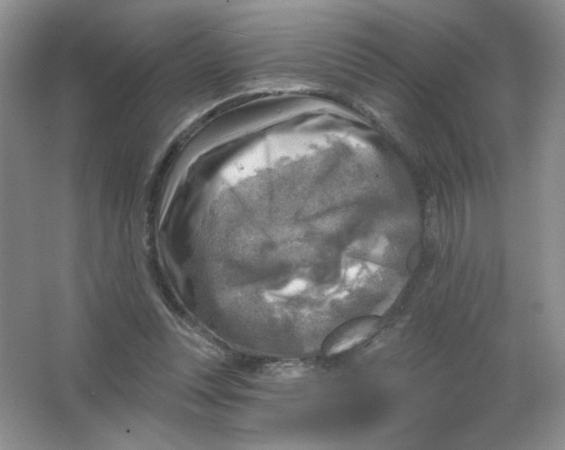 X0000063530351200602102023