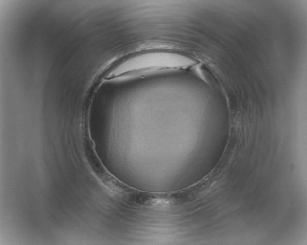 X0000063530352200602102023