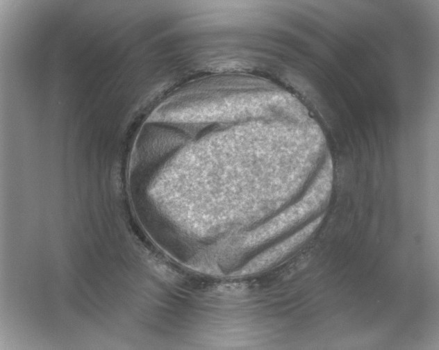 X0000063530353200602102023