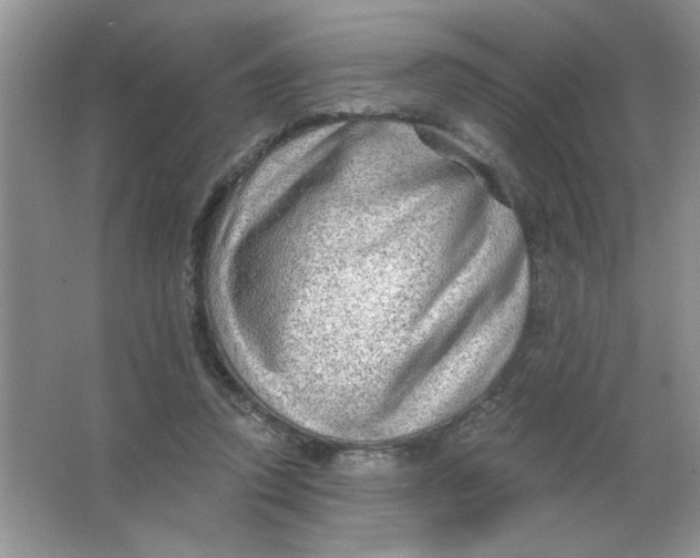 X0000063530354200602102023