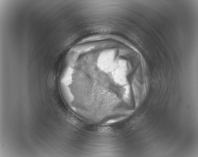 X0000063530355200602102023