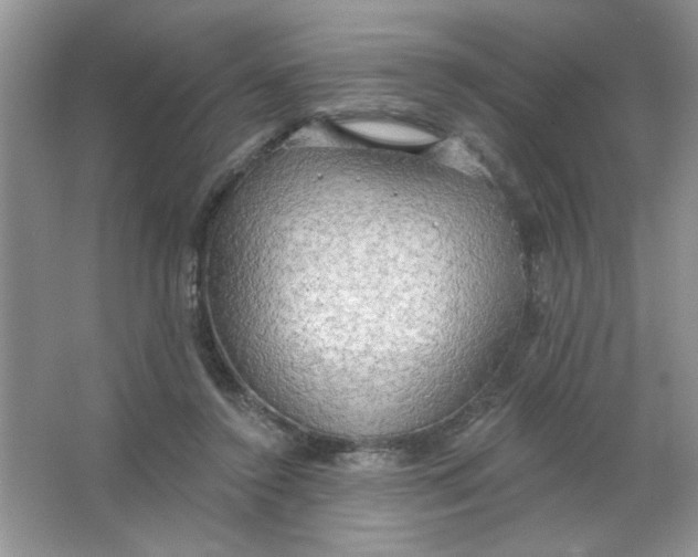 X0000063530356200602102023