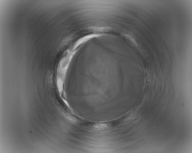 X0000063530357200602102023