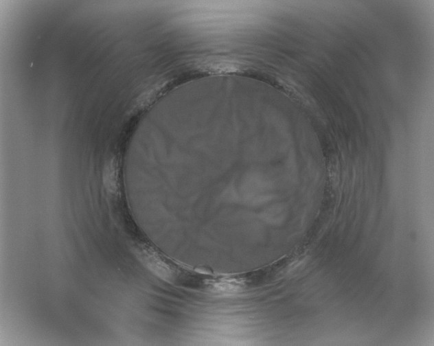 X0000063530359200602102023