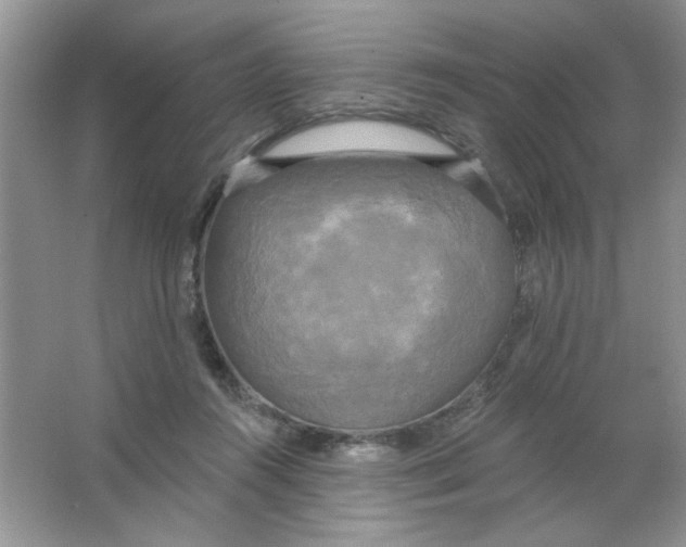 X0000063530360200602102023