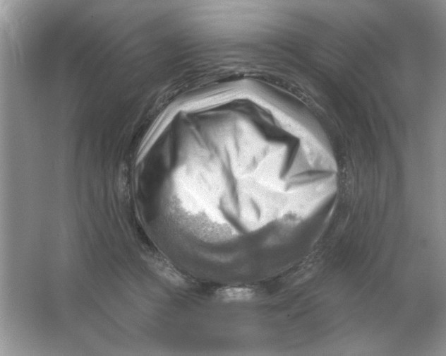 X0000063530361200602102023