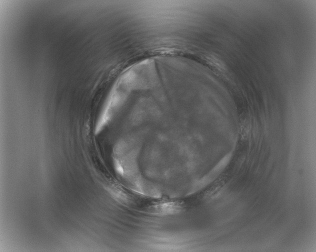 X0000063530365200602102023