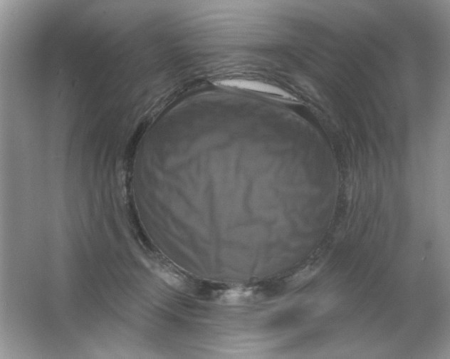 X0000063530366200602102024