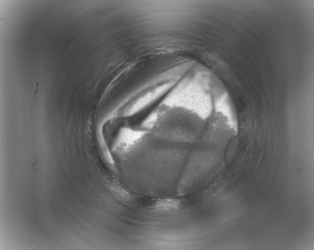 X0000063530369200602102024