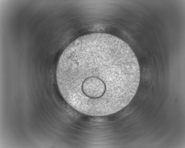 X0000063530370200602102024