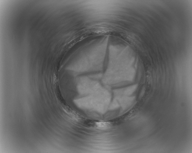 X0000063530371200602102024