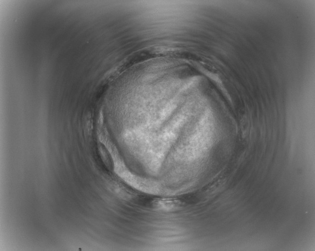 X0000063530372200602102024