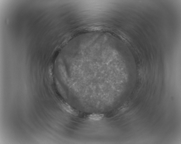 X0000063530373200602102024